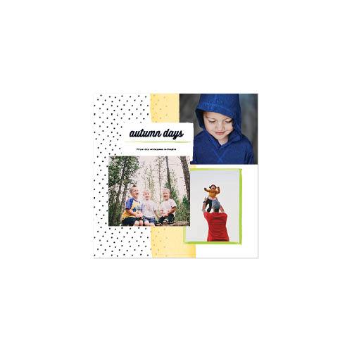 Painterly Patterns 12x12 undefined  Wall Calendar