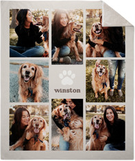 Pet Paw Collage