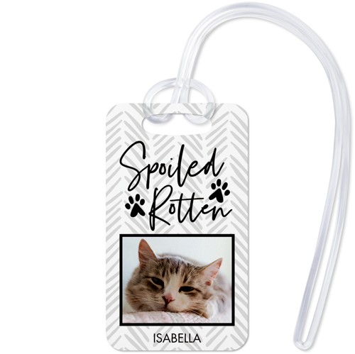 Playful Patterns Spoiled 2x3 Gray  Luggage Tag