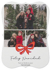 Joyful Bow Tidings
