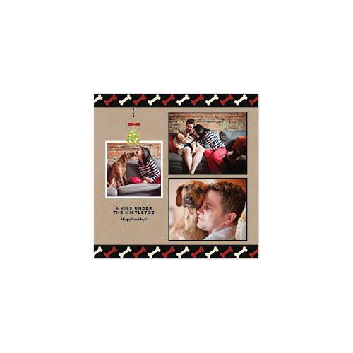 Four Legged Friends 12x12 undefined  Wall Calendar