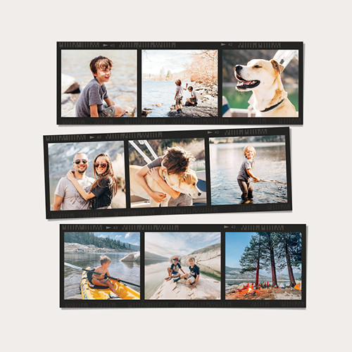 Snapshot Calendar 12x12 undefined  Wall Calendar