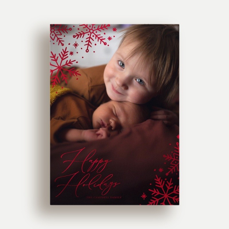Delicate Flakes Holiday Card