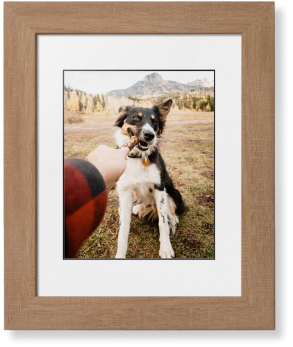 Pet Photo Gallery
