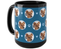 Floating Paws and Pets