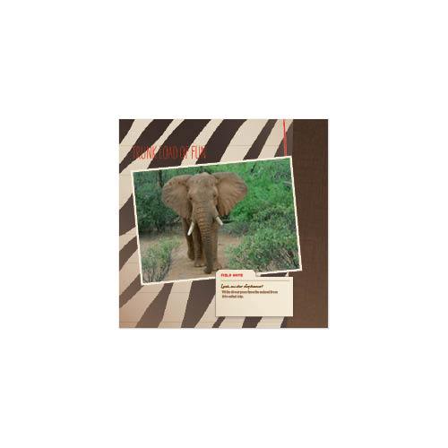 Passport to Africa 8x8 undefined  Premium Album