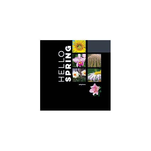 Modern Black Calendar 12x12 undefined  Wall Calendar