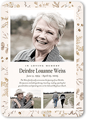 Evergreen Embellishment