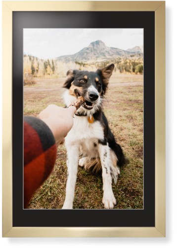 Pet Photo Gallery