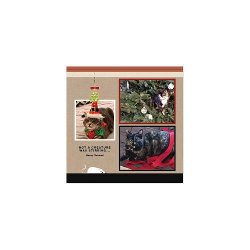 Four Legged Friends 12x12 undefined  Wall Calendar