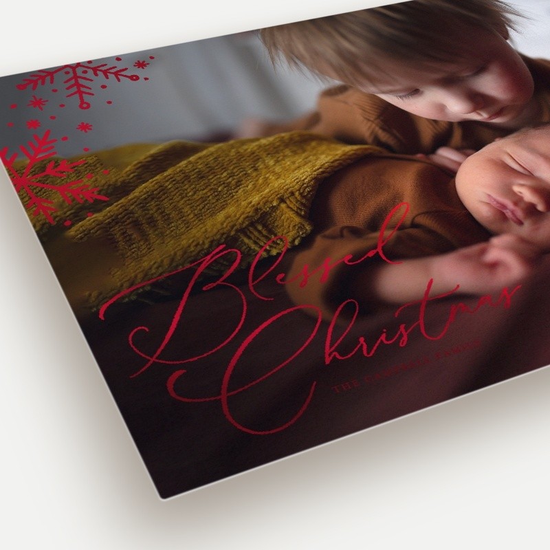Delicate Flakes Holiday Card