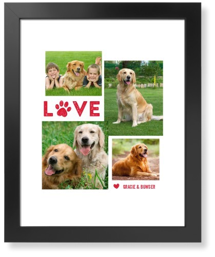 Pet Love