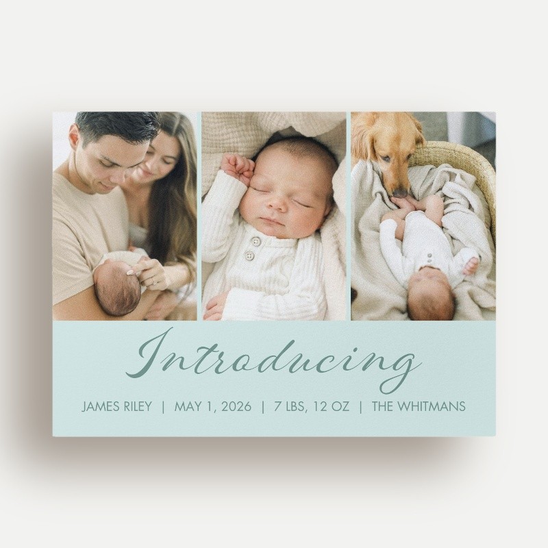 Softly Introducing Birth Announcement