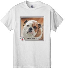 Best In Show Best Dog Ever