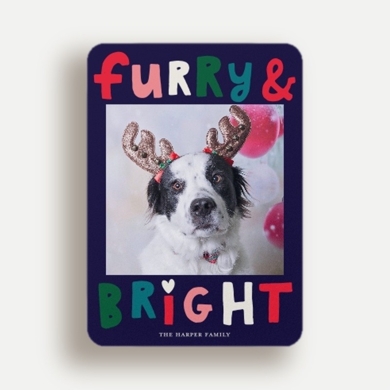 Furry Bright