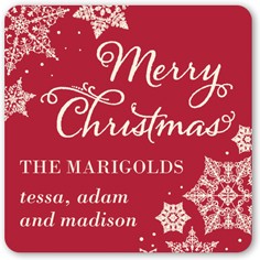 Framed In Snowflakes