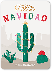 Festive Cactus