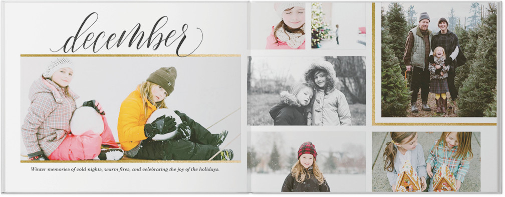 Elegantly Scripted Year In Review 11x14 undefined  Photo Book