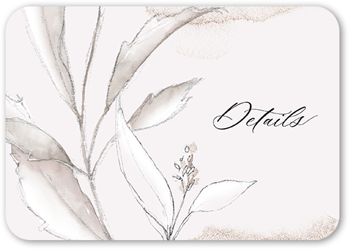 Pictorial Petals