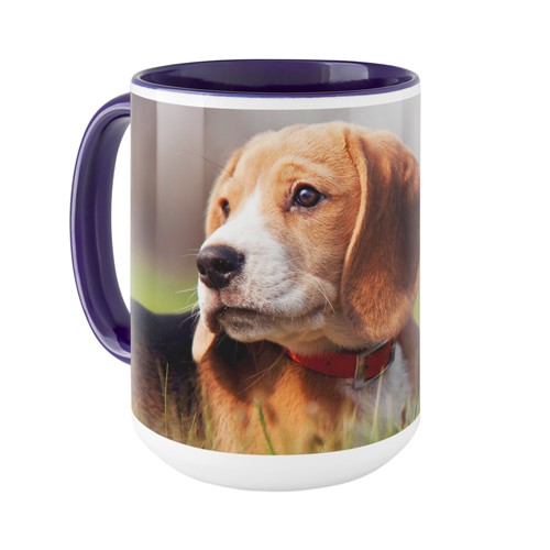 Pets Photo Gallery