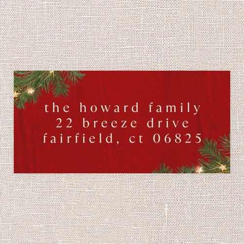 Festive Evergreen