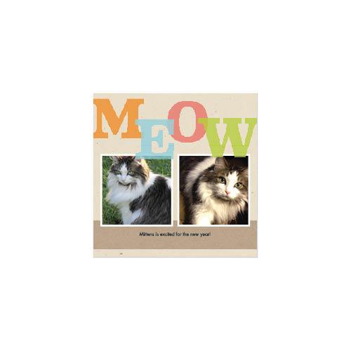 Four Legged Friends 12x12 undefined  Wall Calendar