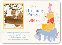 Disney Winnie the Pooh Birthday