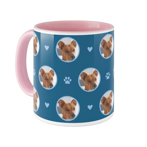 Floating Paws and Pets