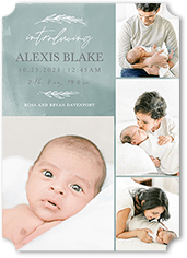 Watercolor Beginnings