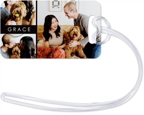 Text Gallery of Three 2x3 Multicolor  Luggage Tag