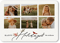 Bird and Holly Berry