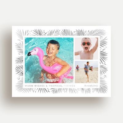 Tropical Tidings