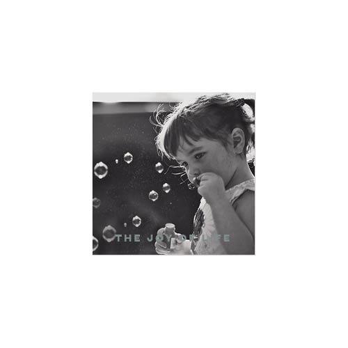 Modern White 10x10 undefined  Premium Album