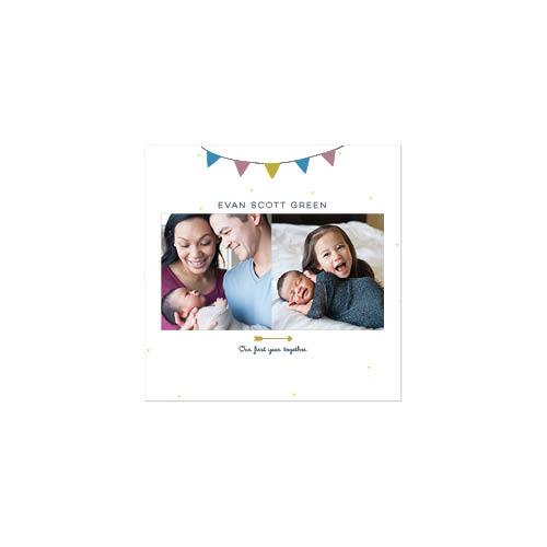 Woodland Baby 10x10 undefined  Premium Album