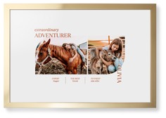 Favorite Infographic​