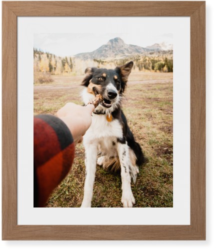 Pet Photo Gallery
