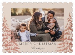 Peaceful Pine Prints