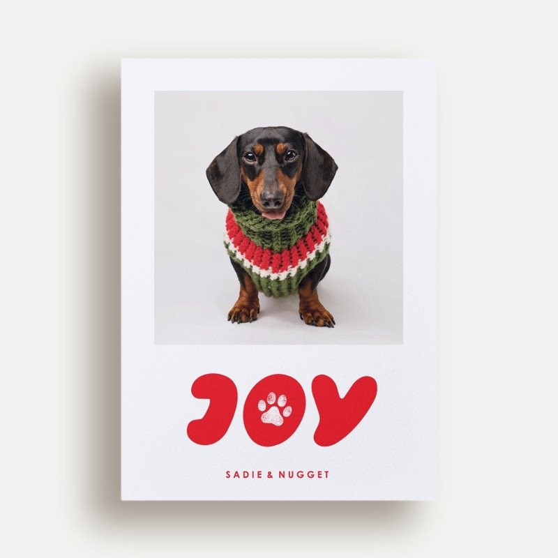 Paw Print Joy