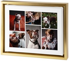 Clean Gallery of Six