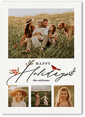 Bird and Holly Berry