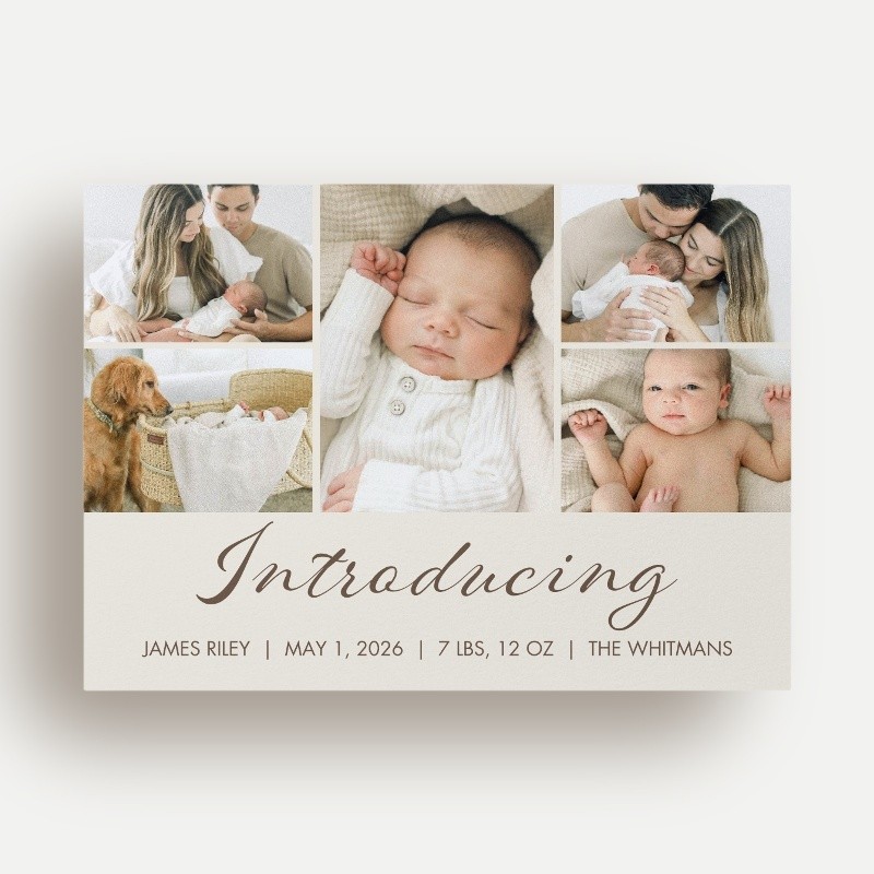 Softly Introducing
