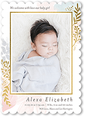 Illuminated Branches