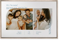 Favorite Infographic