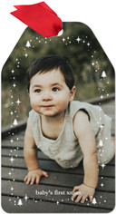 Starlit Christmas Trees