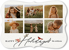 Bird and Holly Berry