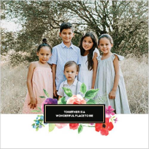 Colorful Blooms 12x12 undefined  Premium Album