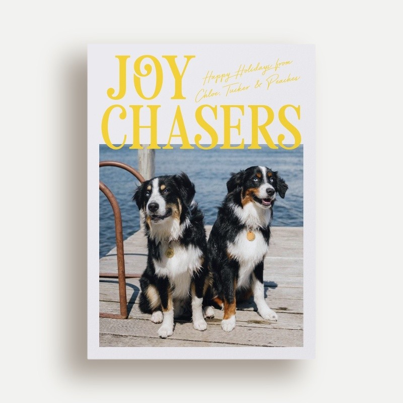 Joy Chasers Holiday Card