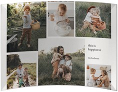 Neutral Gallery Of Six