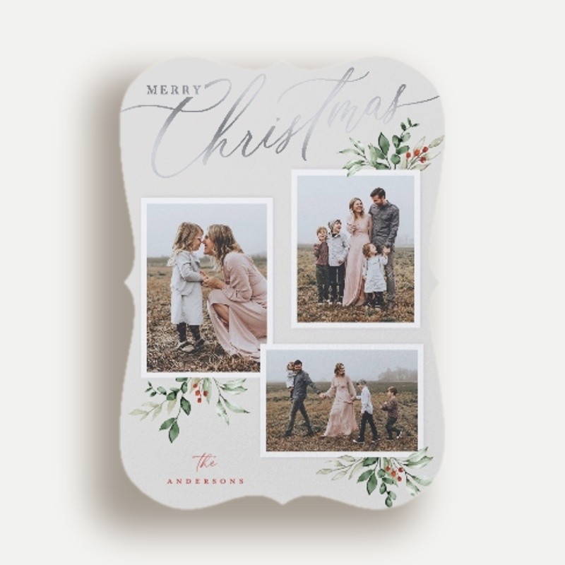 Script and Snapshots
