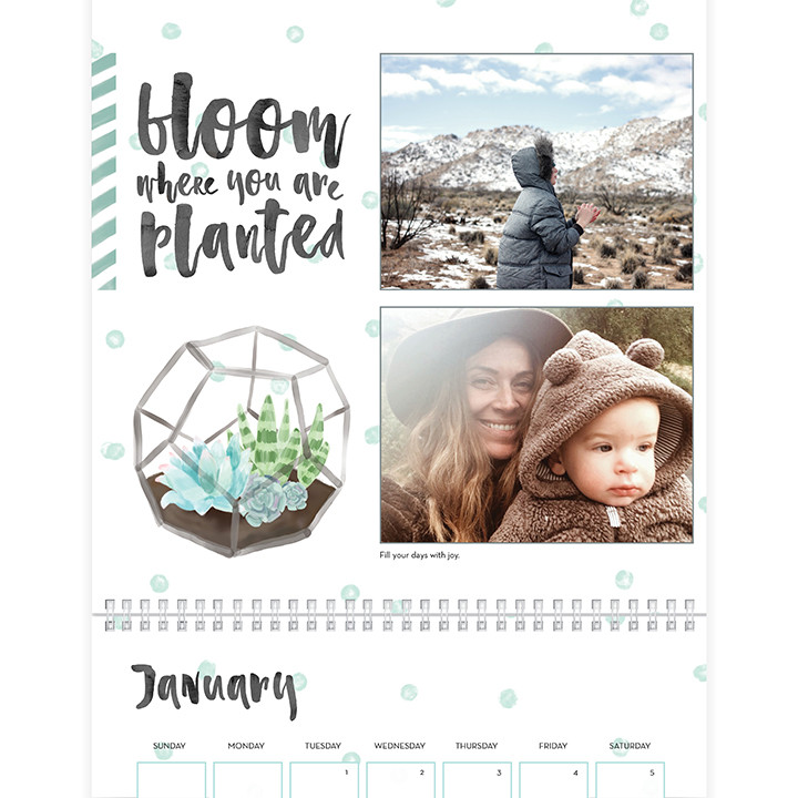 Watercolor Botanicals